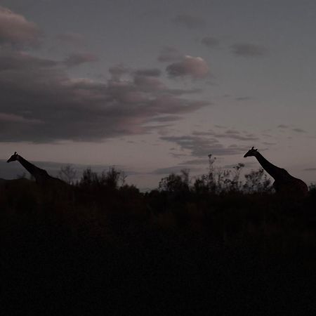 Wildehondekloof Game Lodge Matjiesrivier  Екстериор снимка