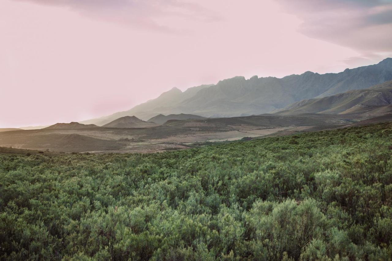 Wildehondekloof Game Lodge Matjiesrivier  Екстериор снимка