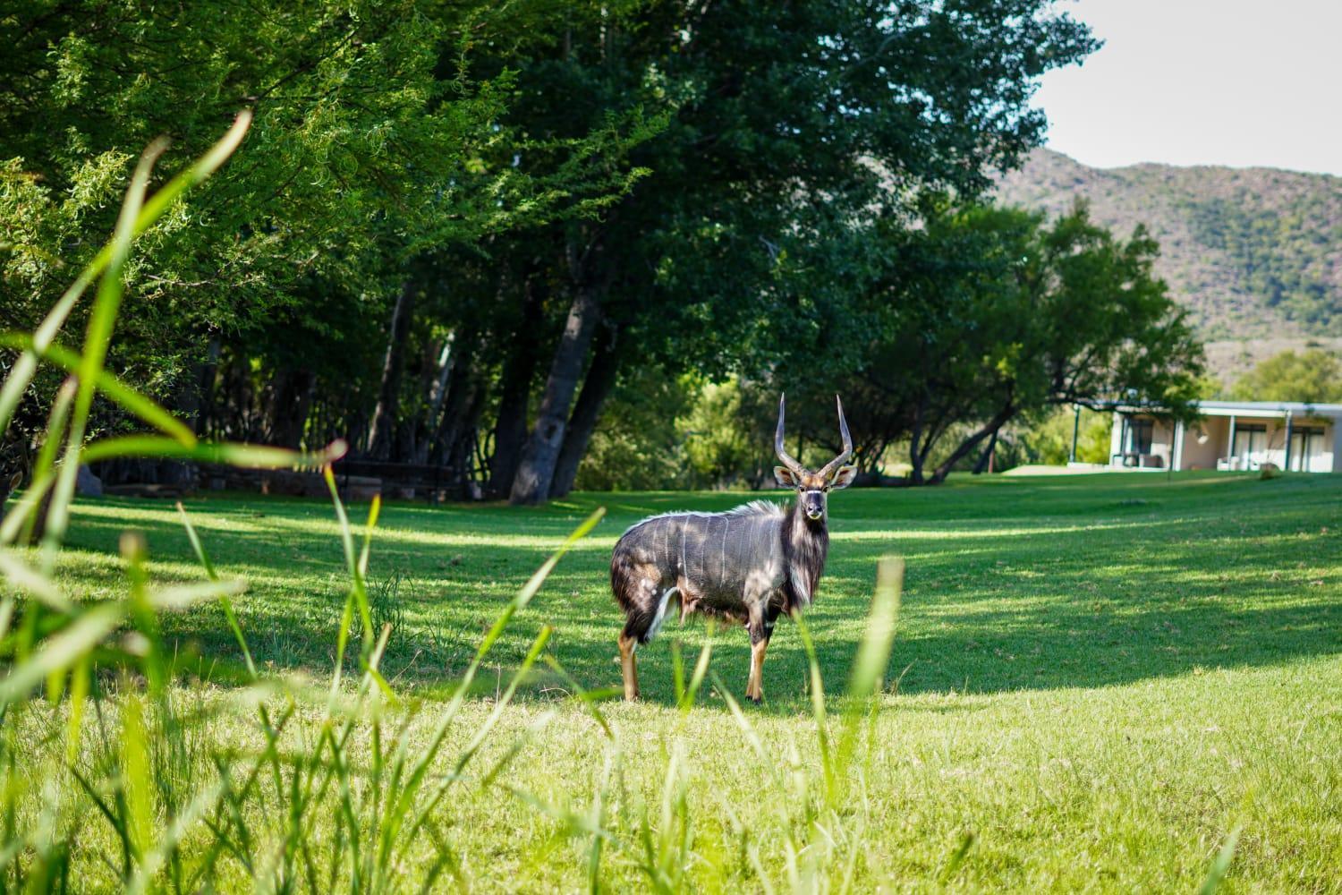 Wildehondekloof Game Lodge Matjiesrivier  Екстериор снимка