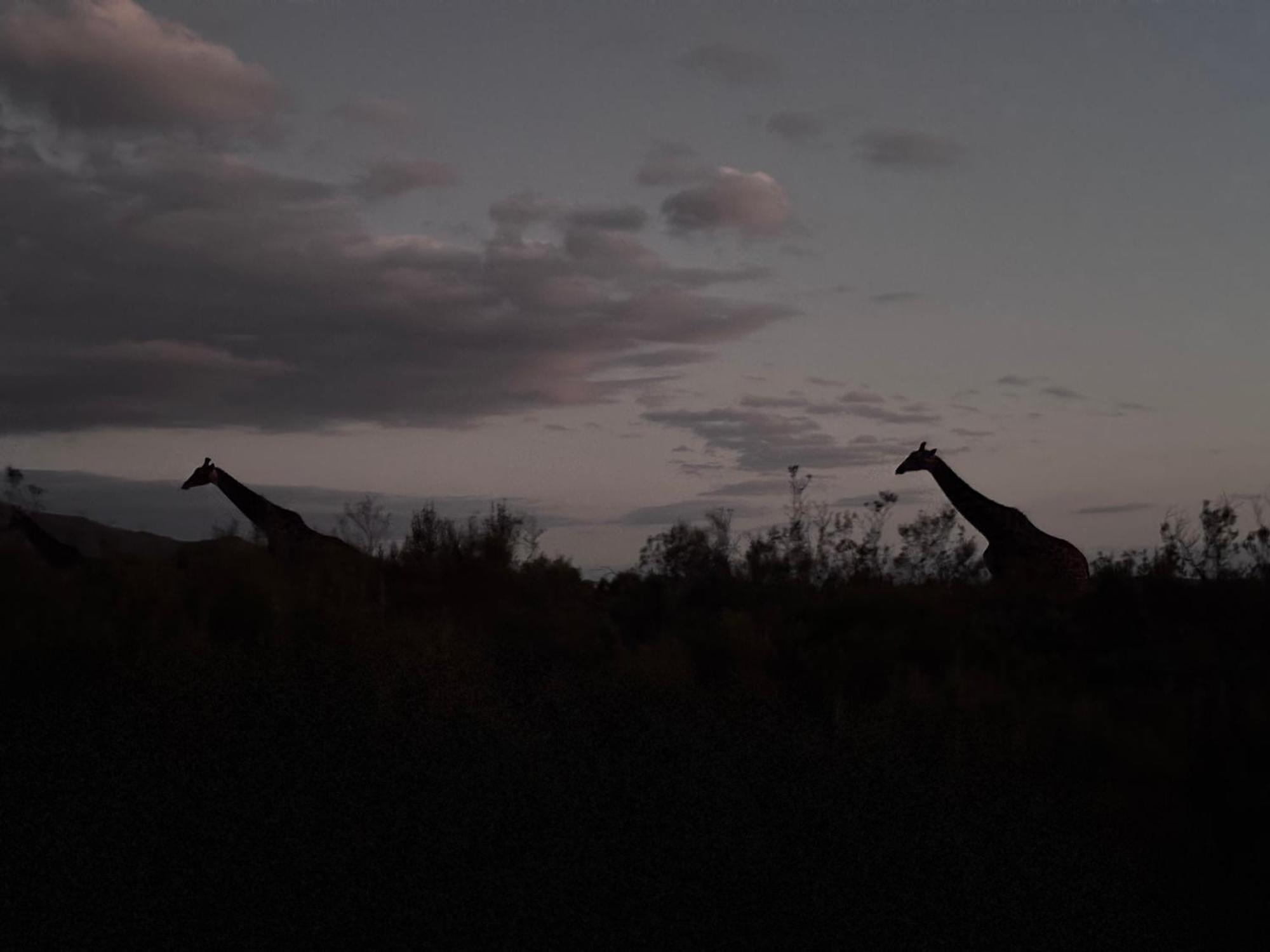 Wildehondekloof Game Lodge Matjiesrivier  Екстериор снимка