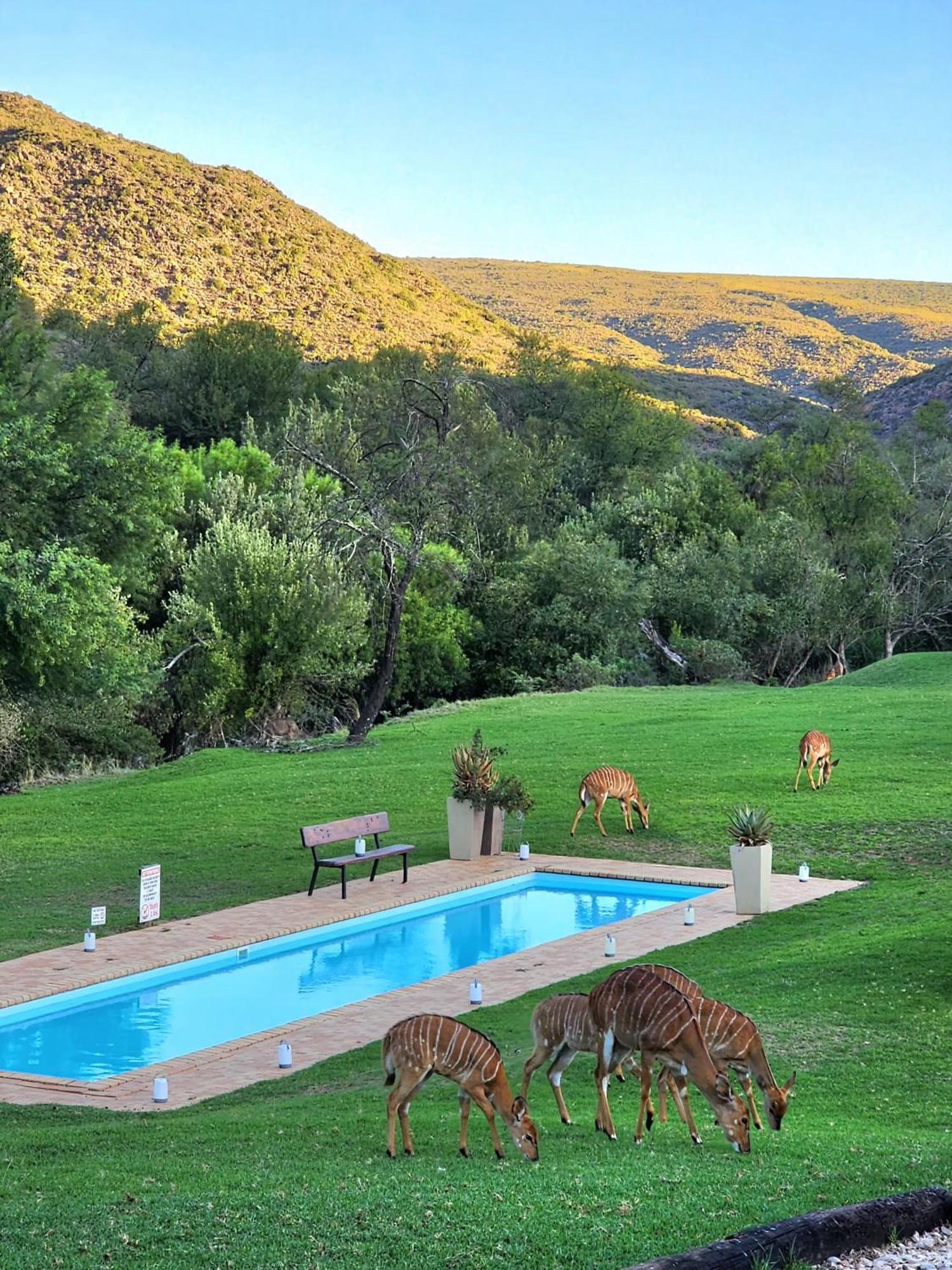 Wildehondekloof Game Lodge Matjiesrivier  Екстериор снимка